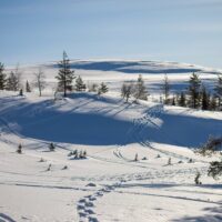 Private & Custom Tours