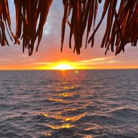 Holiday & Seasonal Tours