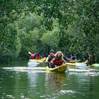 Holiday & Seasonal Tours
