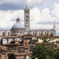 Private & Custom Tours