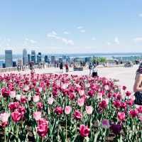 Layover Tours