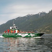Kid Friendly Tours & Activities