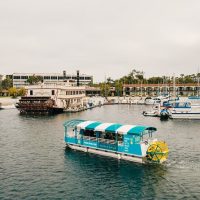Weddings & Honeymoons