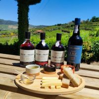 Food, Wine & Nightlife