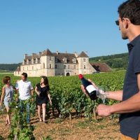 Wine Tasting & Winery Tours
