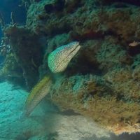 Snorkeling