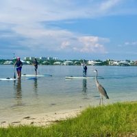 Holiday & Seasonal Tours