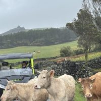 Luxury Tours