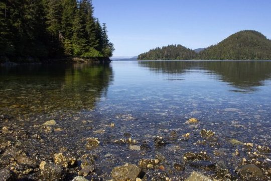 MLK Day in Sitka