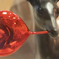 Holiday & Seasonal Tours