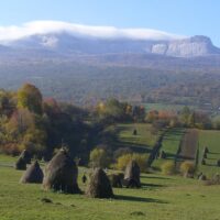 Multi-day Tours