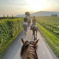 Horseback Riding