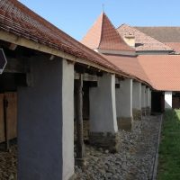 Cultural Tours