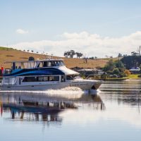 Day Cruises