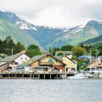 Bus & Minivan Tours