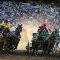 Sporting Event Tickets & Passes