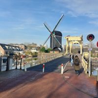 Half-day Tours