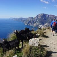 Multi-day & Extended Tours