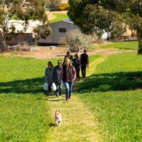 Walking Tours