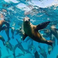 Shore Excursions