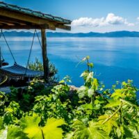 Holiday & Seasonal Tours