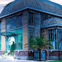 Tours & Sightseeing