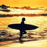Self-guided Tours & Rentals