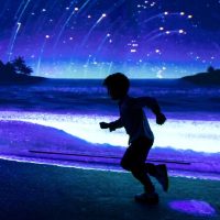 Attraction Tickets