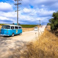Private Sightseeing Tours