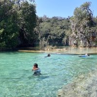 Private Sightseeing Tours