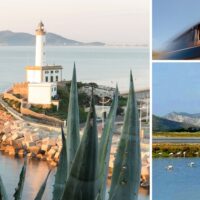 Classic Car Tours