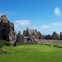 Tours & Sightseeing