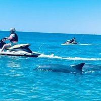 Waterskiing & Jetskiing