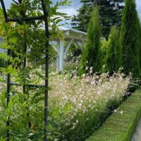 Full-day Tours