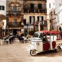 Private & Custom Tours