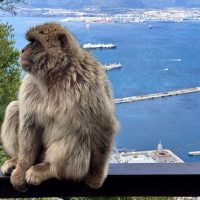 Cultural & Theme Tours