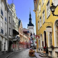 Half-day Tours