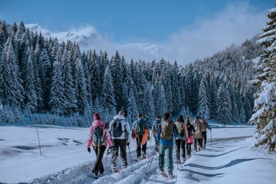 Valentine's Day in Zabljak