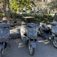 Scooter Rentals
