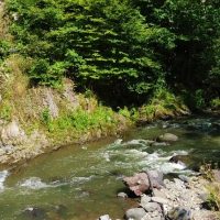 Multi-day Tours