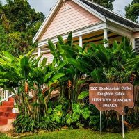 Plantation Tours