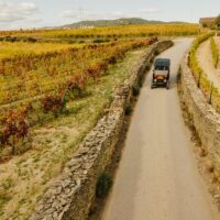 Multi-day Tours