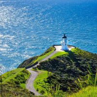 Bus & Minivan Tours
