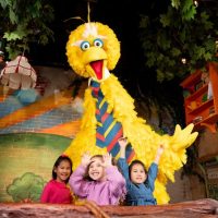 Theme Parks