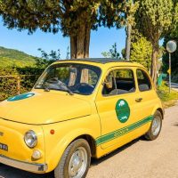 Classic Car Tours