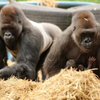 Zoo Tickets & Passes
