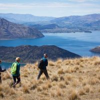 Walking & Biking Tours