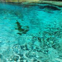 Luxury Tours