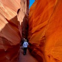 Walking Tours