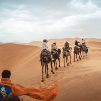 Multi-day Tours